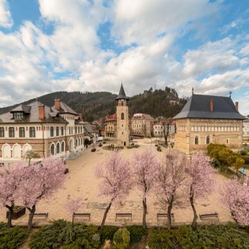 Roemenië, Piatra Neamț