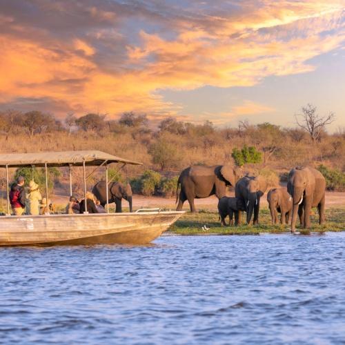 Boottocht Chobe Nationaal Park