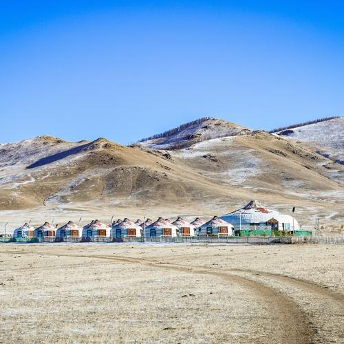 Gerkamp in Mongolië