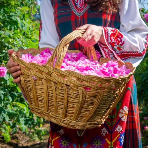 Kazanlak, rozenvallei