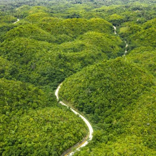 Luchtfoto Loboc gebied