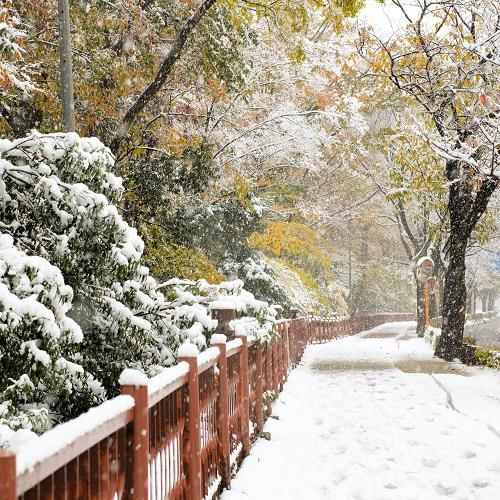Tokyo in de winter