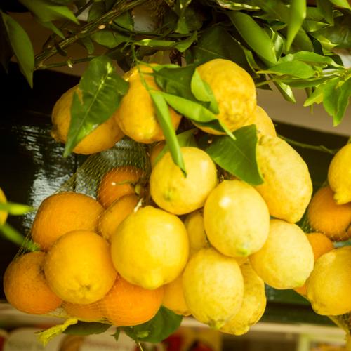 Italiaanse citroenen