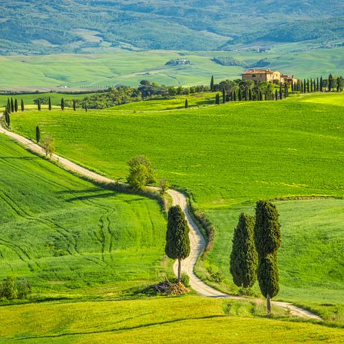 Het groene landschap in Val d'Orcia