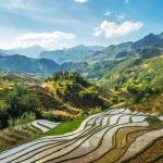 Sapa, rijstterrassen