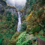 Levada do Rabaçal