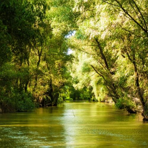 Donaudelta
