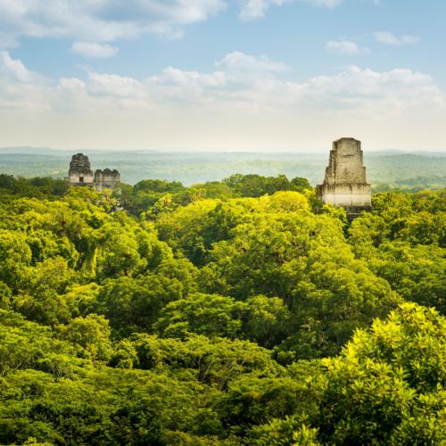 Tikal