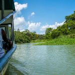 Tortuguero Nationaal Park