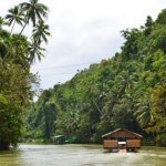 Loboc River Cruise, bohol