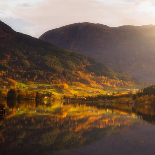 Ulvik 