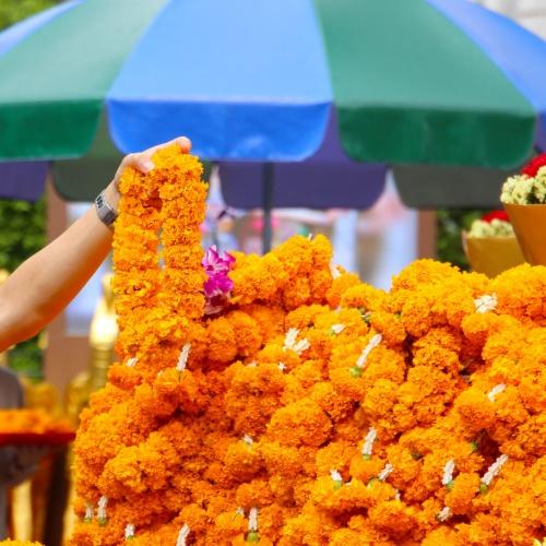Marigold bloemenslingers