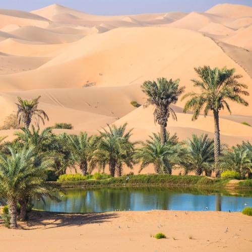 Al Ain, oase