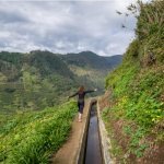 Levada Nova, Madeira