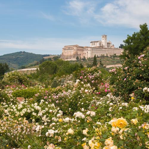 Basilica di San Francesco