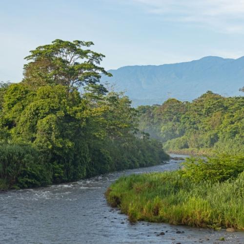 Sarapiquí-rivier
