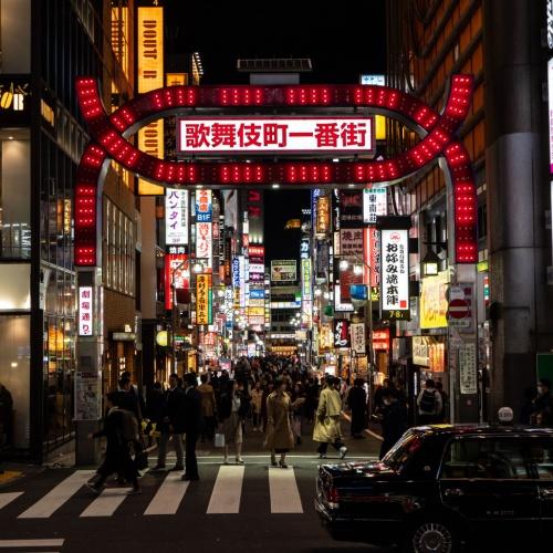Tokyo in de avonduren