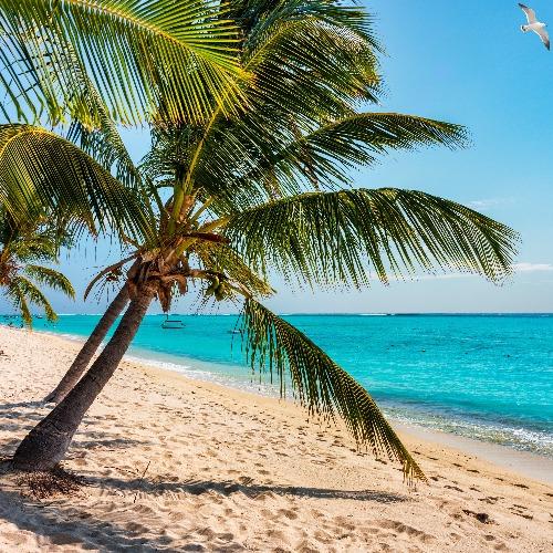 Mauritius strand 