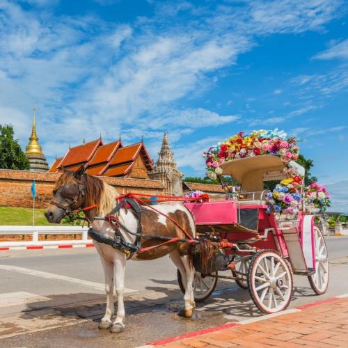 Paardenkoets in Lampang
