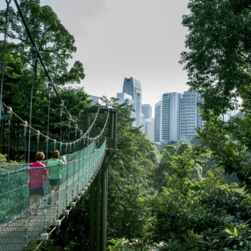 Uitzicht op de stad vanuit Forest Eco-park