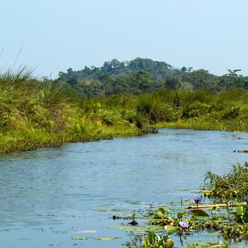 Mabamba-moeras uitzicht