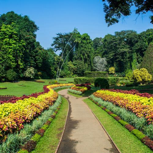 Kandy Botanische Tuin 