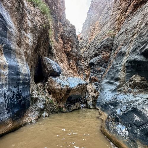 Snake Canyon
