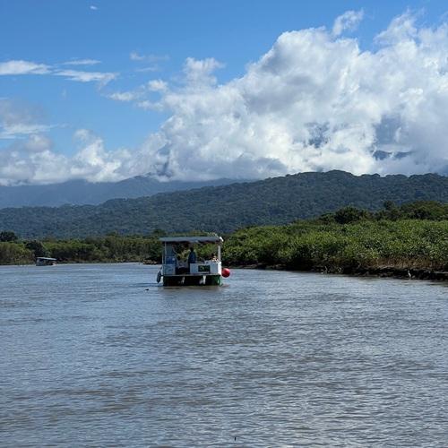Krokodillen Safari Tárcoles-rivier