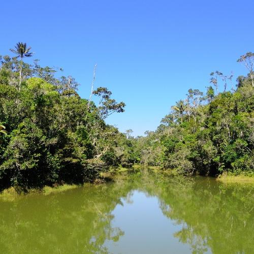  Andasibe Analamazaotra Nationaal Park