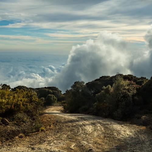 Cerro de la Muerte