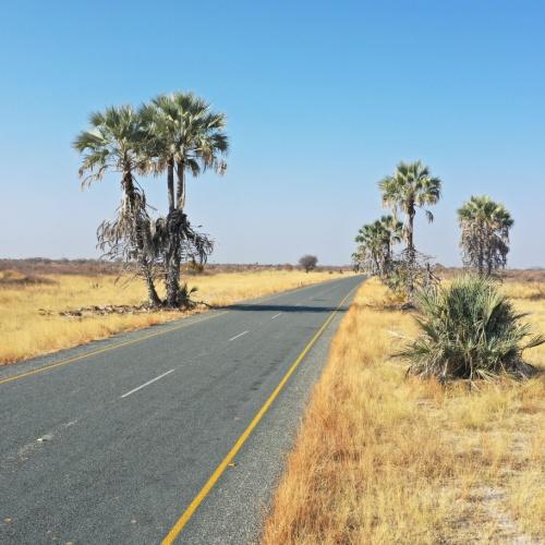 Weg naar Makgadikgadi Pans 