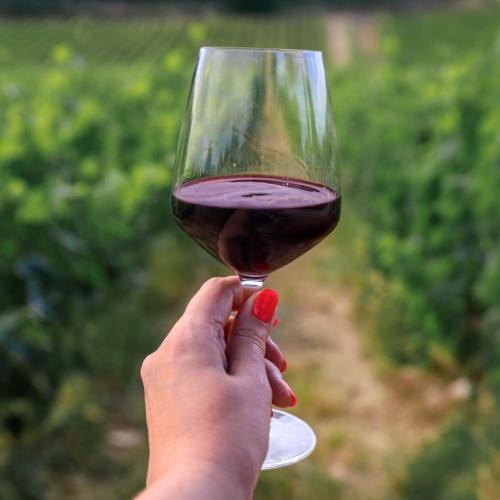 Chianti, wijn