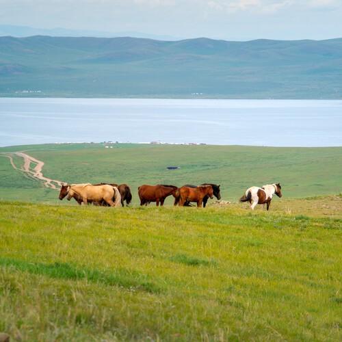Uitzicht over Ugii Lake, Mongolië
