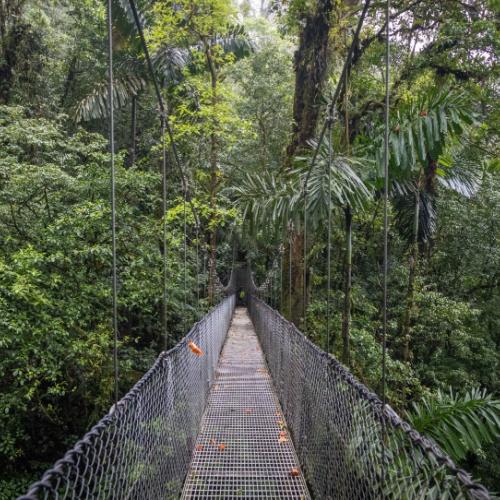 Hangbrug in La Fortuna