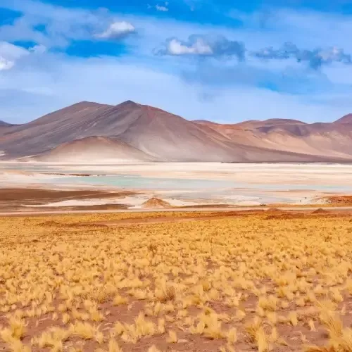 Salar de Aguas Calientes