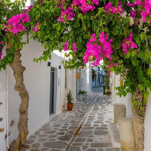 Straatje in Paros met prachtige Bougainville