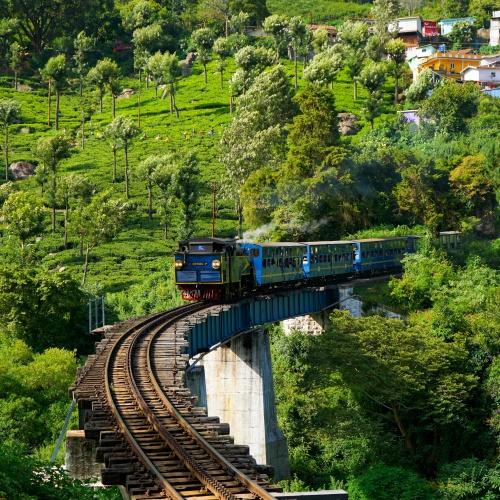 Toy Train, Ooty