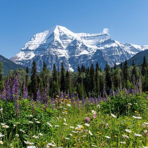 Mount Robson