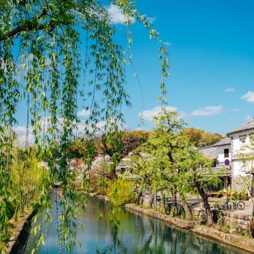 Kurashiki