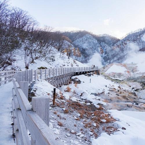 Jigokudani Snow Monkey Park