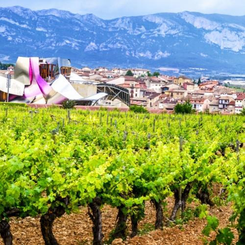 Rioja Streek, wijngebied