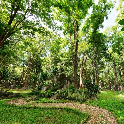 Maharaj Stone Forest
