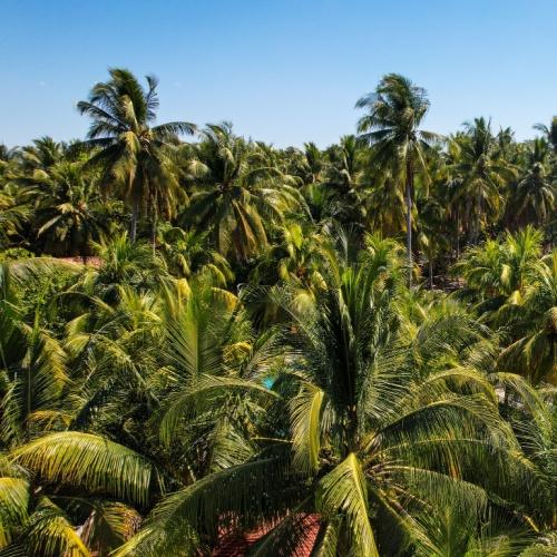Playa Costa del Sol, El Salvador