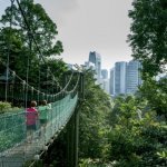 kuala lumpur forest park