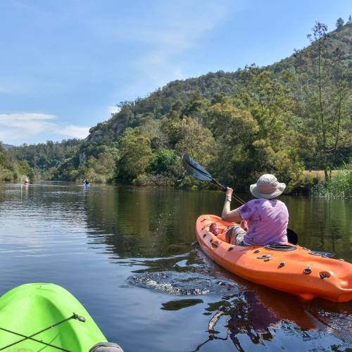 Kajakken in Knysna 