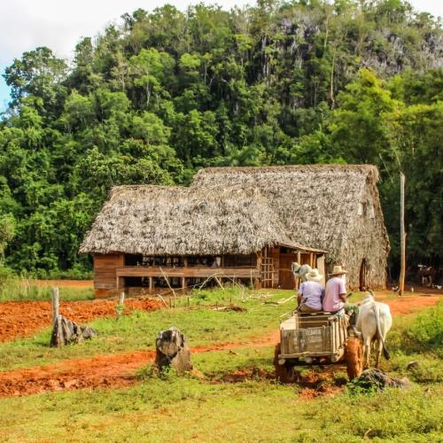 Viñales