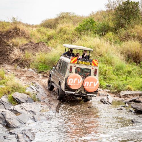 Reizigersfoto Gamedrive