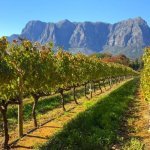 Stellenbosch
