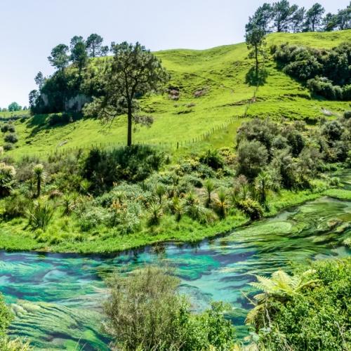 Blue Springs nabij Hamilton