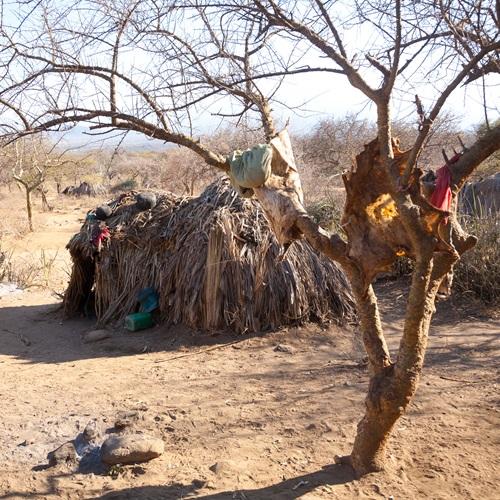 Hadzabe hut, Tanzania